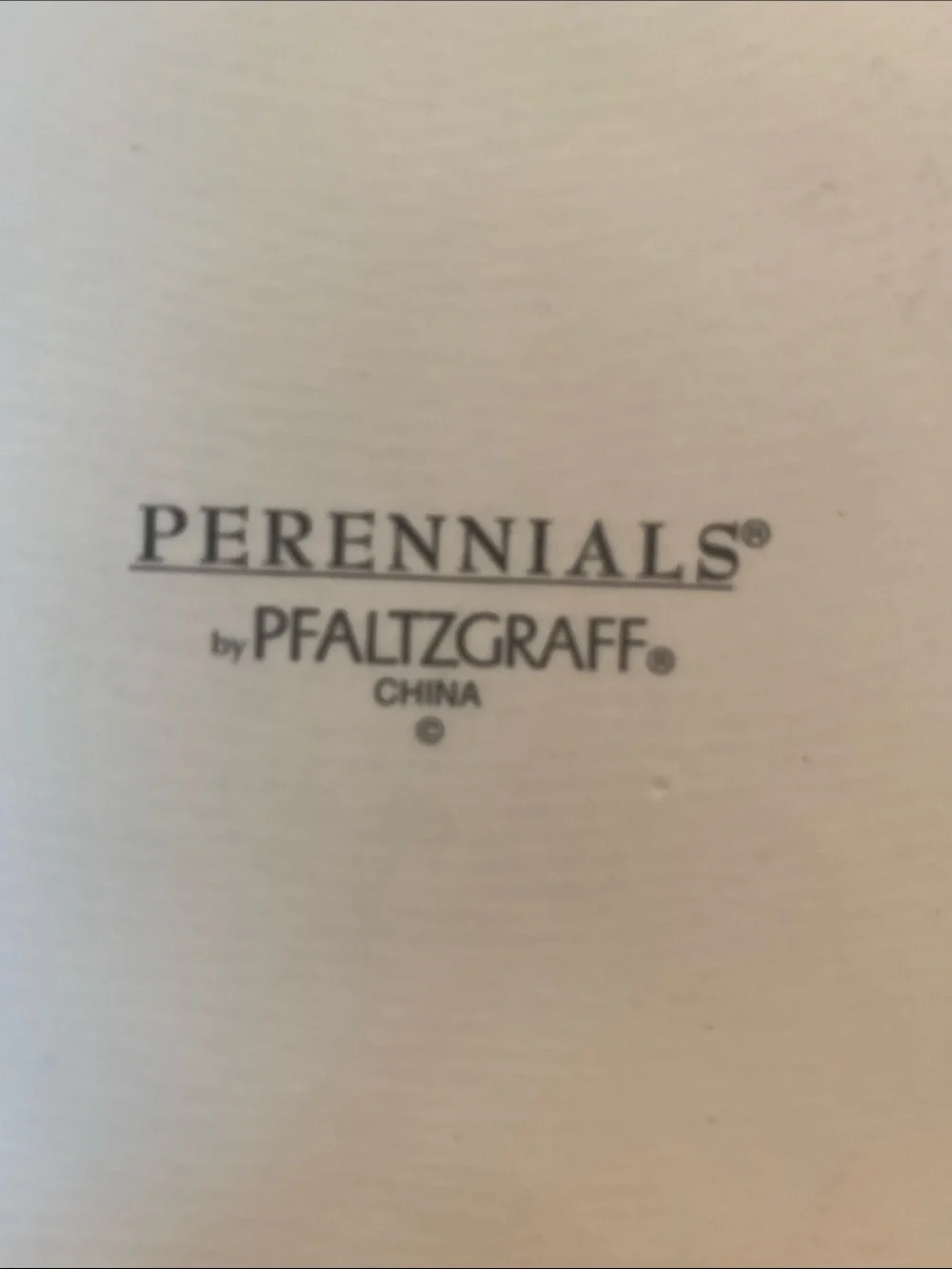 Pfaltzgraff Single Dinner Plate. Perennials Pattern